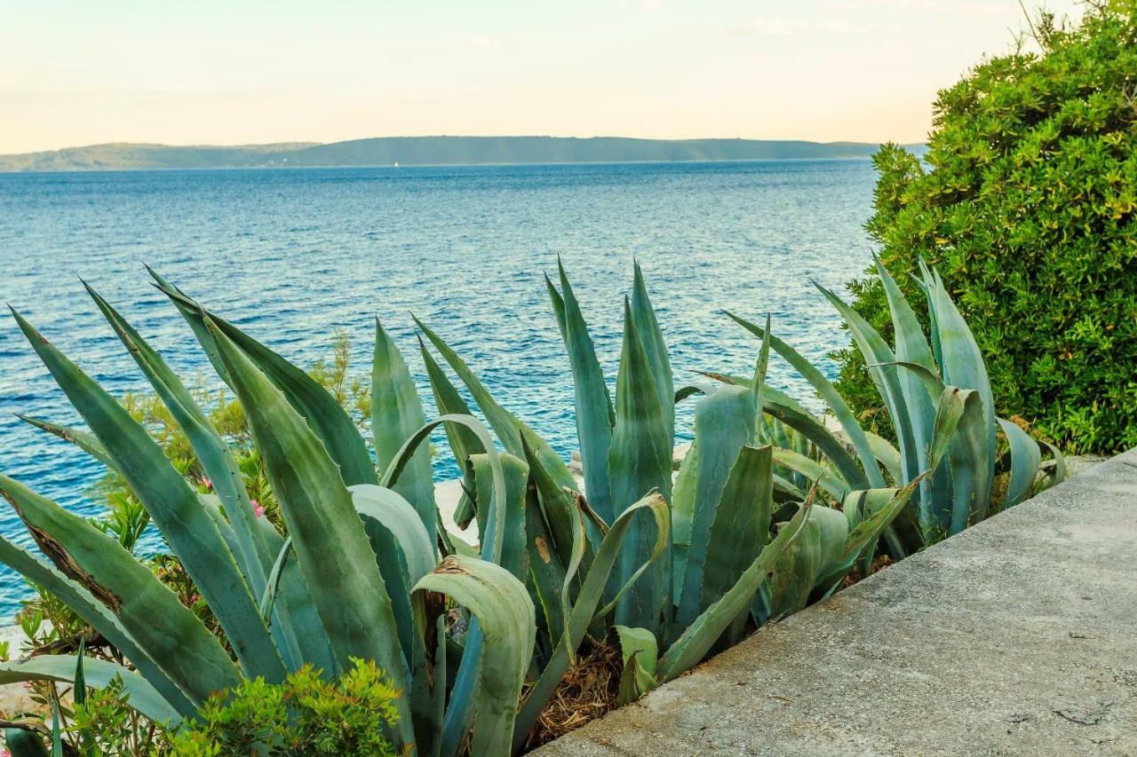 Holiday Home Lola, Sea On A Palm! Heated Pool Трогир Екстериор снимка